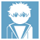 icon_schien